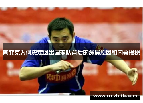 陶菲克为何决定退出国家队背后的深层原因和内幕揭秘