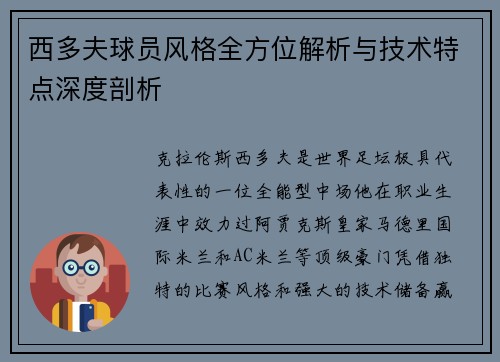 西多夫球员风格全方位解析与技术特点深度剖析 西多夫球员风格全方位解析与技术特点深度剖析