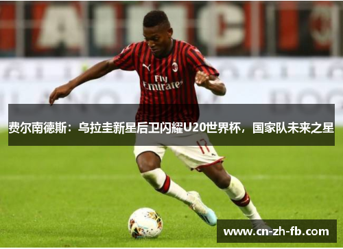 费尔南德斯：乌拉圭新星后卫闪耀U20世界杯，国家队未来之星