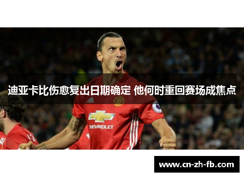 迪亚卡比伤愈复出日期确定 他何时重回赛场成焦点 迪亚卡比伤愈复出日期确定 他何时重回赛场成焦点