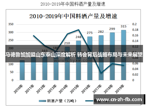 马德鲁加加盟山东泰山深度解析 转会背后战略布局与未来展望