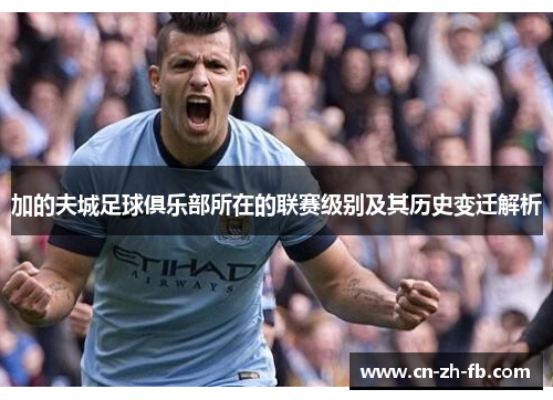 加的夫城足球俱乐部所在的联赛级别及其历史变迁解析 加的夫城足球俱乐部所在的联赛级别及其历史变迁解析