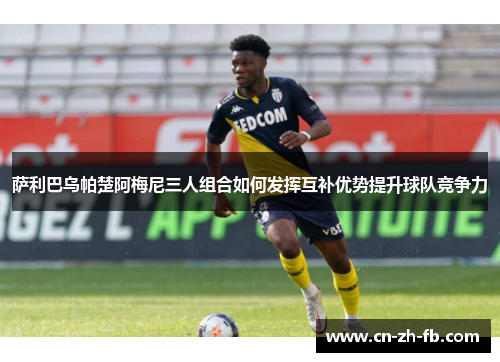 萨利巴乌帕楚阿梅尼三人组合如何发挥互补优势提升球队竞争力