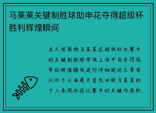 马莱莱关键制胜球助申花夺得超级杯胜利辉煌瞬间
